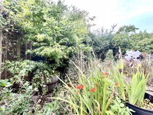 Garden- click for photo gallery